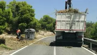 Alicante recoge más de 1.700 toneladas de poda y escombros en las partidas rurales