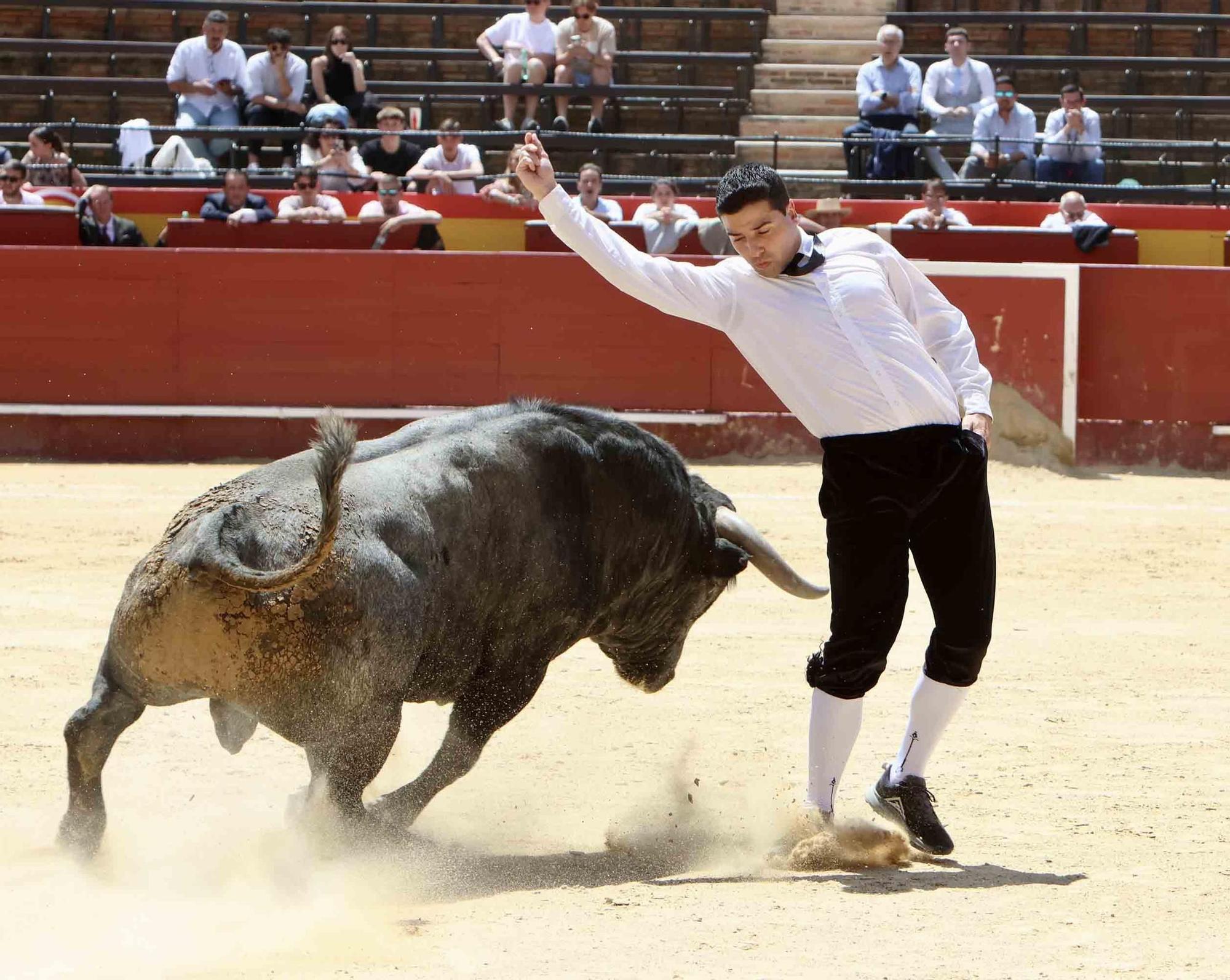 Valencia vive un fin de semana taurino alicantino