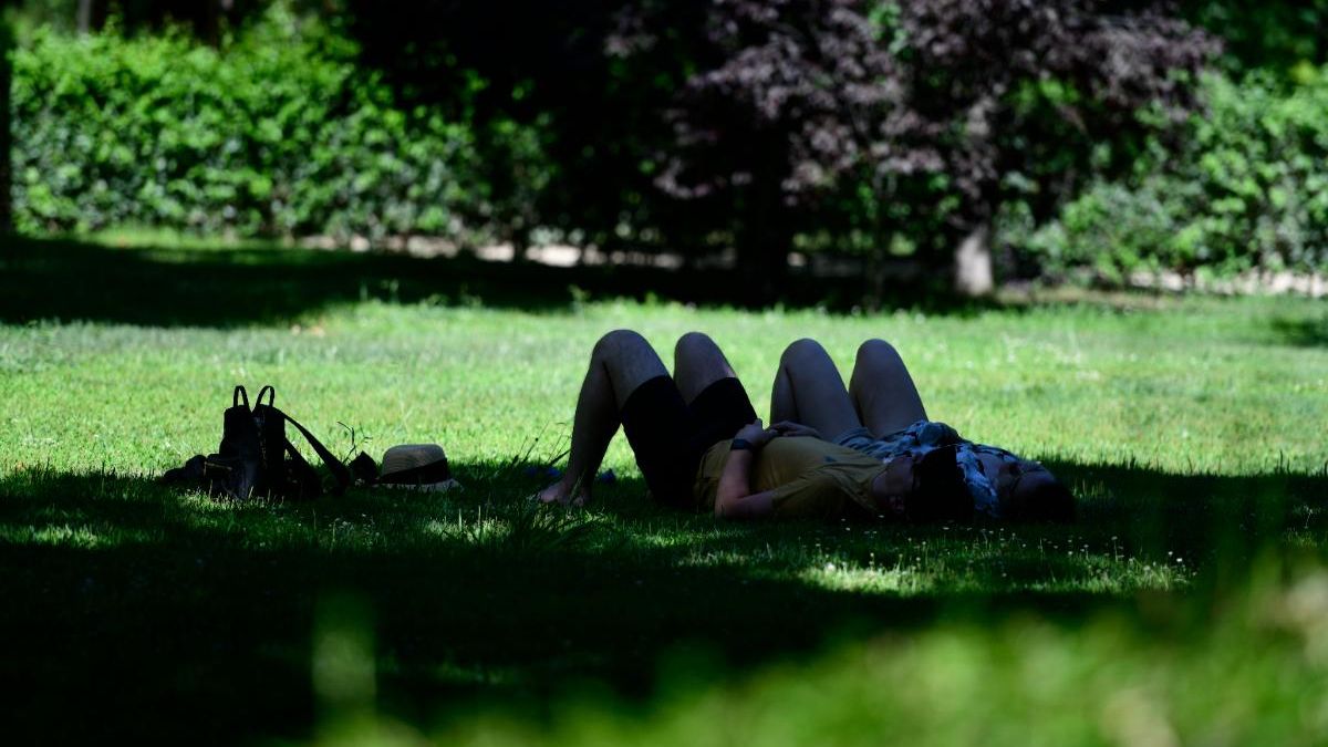 Una sombra en El Retiro es el mejor plan en Madrid estos días.