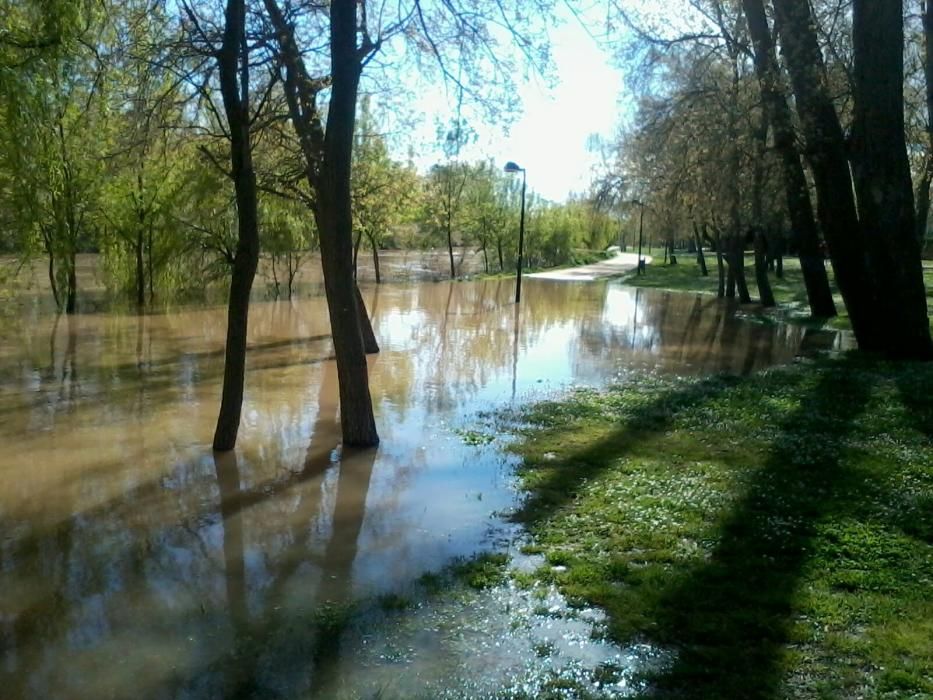 La zona de los Tres Árboles, inundada.