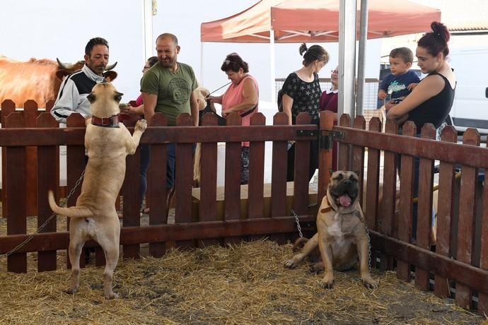 FERIA DEL SURESTE