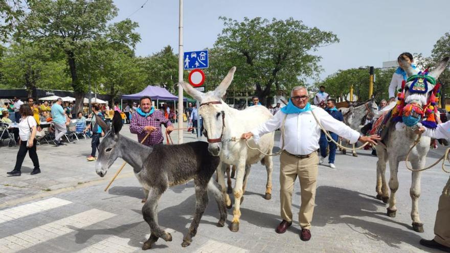 El asno andaluz recibe su &#039;bautismo&#039; en Palma del Río