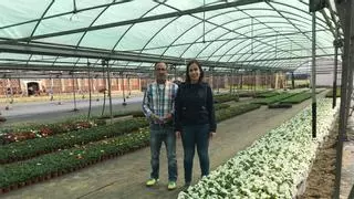 La Diputación de Cáceres distribuirá 48.000 plantas de diez especies diferentes en su Campaña de Primavera para embellecer municipios