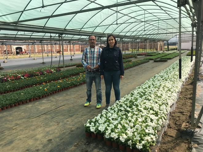 La Diputación de Cáceres distribuirá 48.000 plantas de diez especies diferentes en su Campaña de Primavera para embellecer municipios