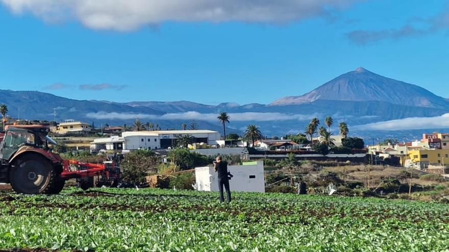 SAT Canarisol затвердила план реструктуризації та забезпечила стабільне майбутнє