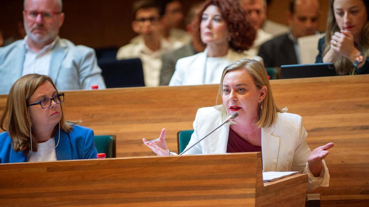 La diputada Natàlia Enguix en un pleno de la Diputació.