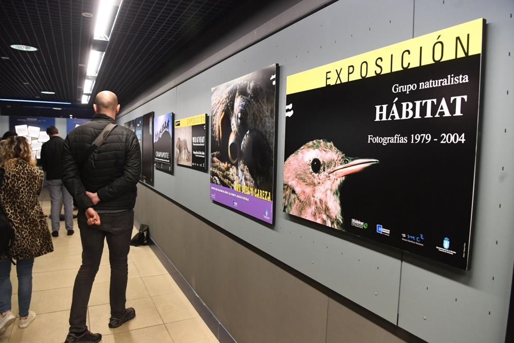 El trabajo gráfico hace un recorrido por el tiempo en el que se pueden ver temas como la sobrepesca o la contaminación por plástico en los océanos.