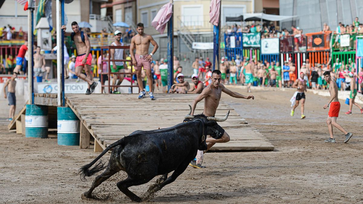 Imagen de archivo de una de las exhibiciones del concurso de ganaderías de les Penyes del 2024.