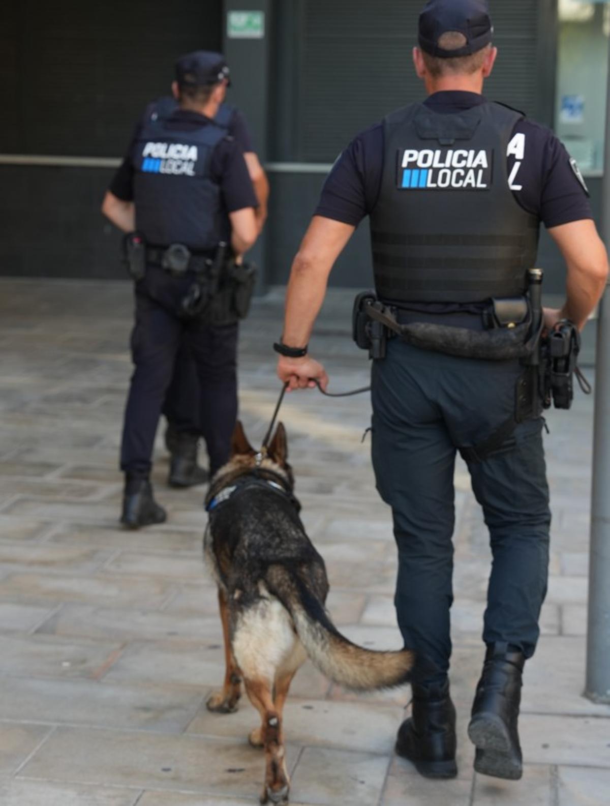 Summer, la perra antidrogas que vuelve a Ibiza este verano para luchar contra el narcotráfico