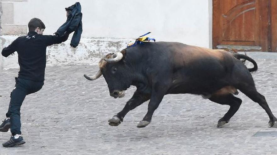 Imagen de archivo de la apertura de los festejos taurinos del año en la provincia de Castellón, que se celebra cada año el fin de semana posterior al día de Reyes.