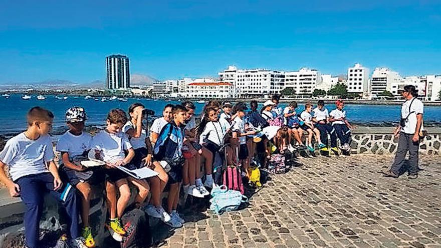 Avistamiento de aves para escolares en Arrecife