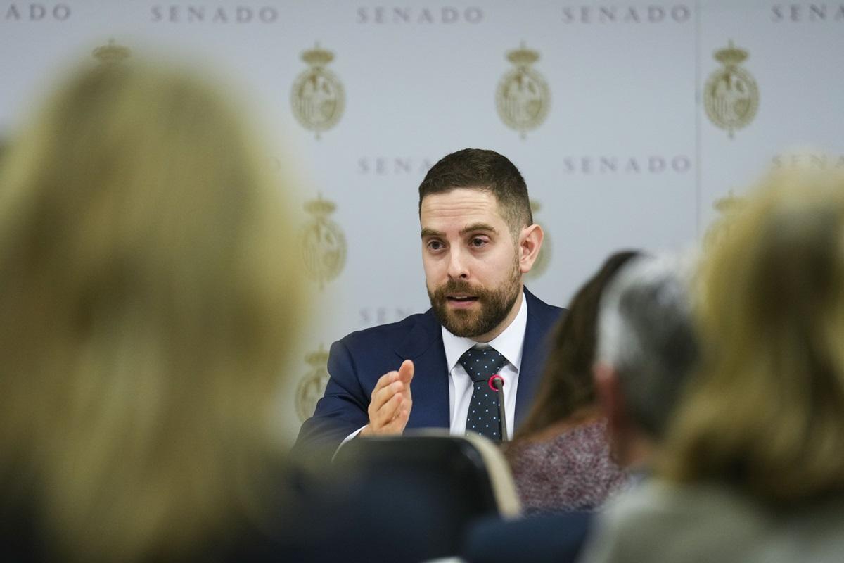 El secretario general del Sindicato Español de Maquinistas Ferroviarios (Semaf), Diego Martín, en la comisión del accidente de Adamuz en el Senado