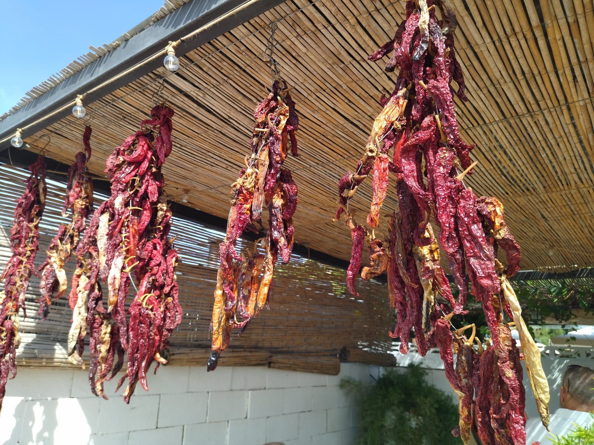 Huerta, gastronomía y exquisitas cocas: el D*na de Dénia siembra la semilla (imágenes)