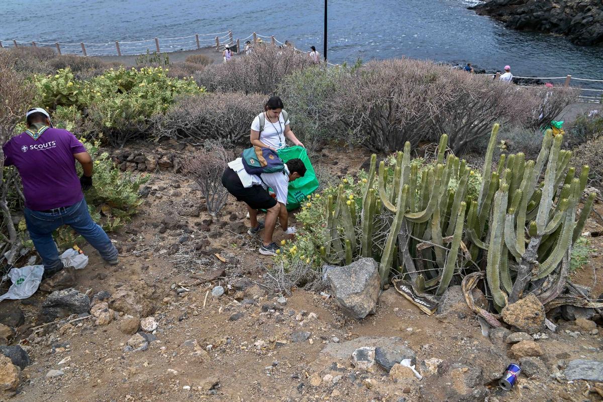 Limpieza de costa donde se aprecia la vegetación característica de cardones y tabaibas