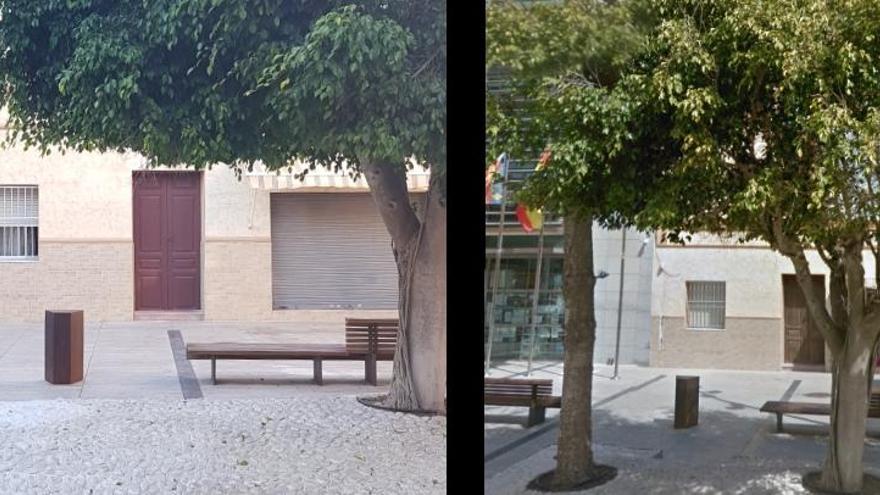 El antes y el después. A la izquierda zona verde con el hueco &quot;tapado&quot;. A la derecha, la araucaria que ocupaba esa zona.