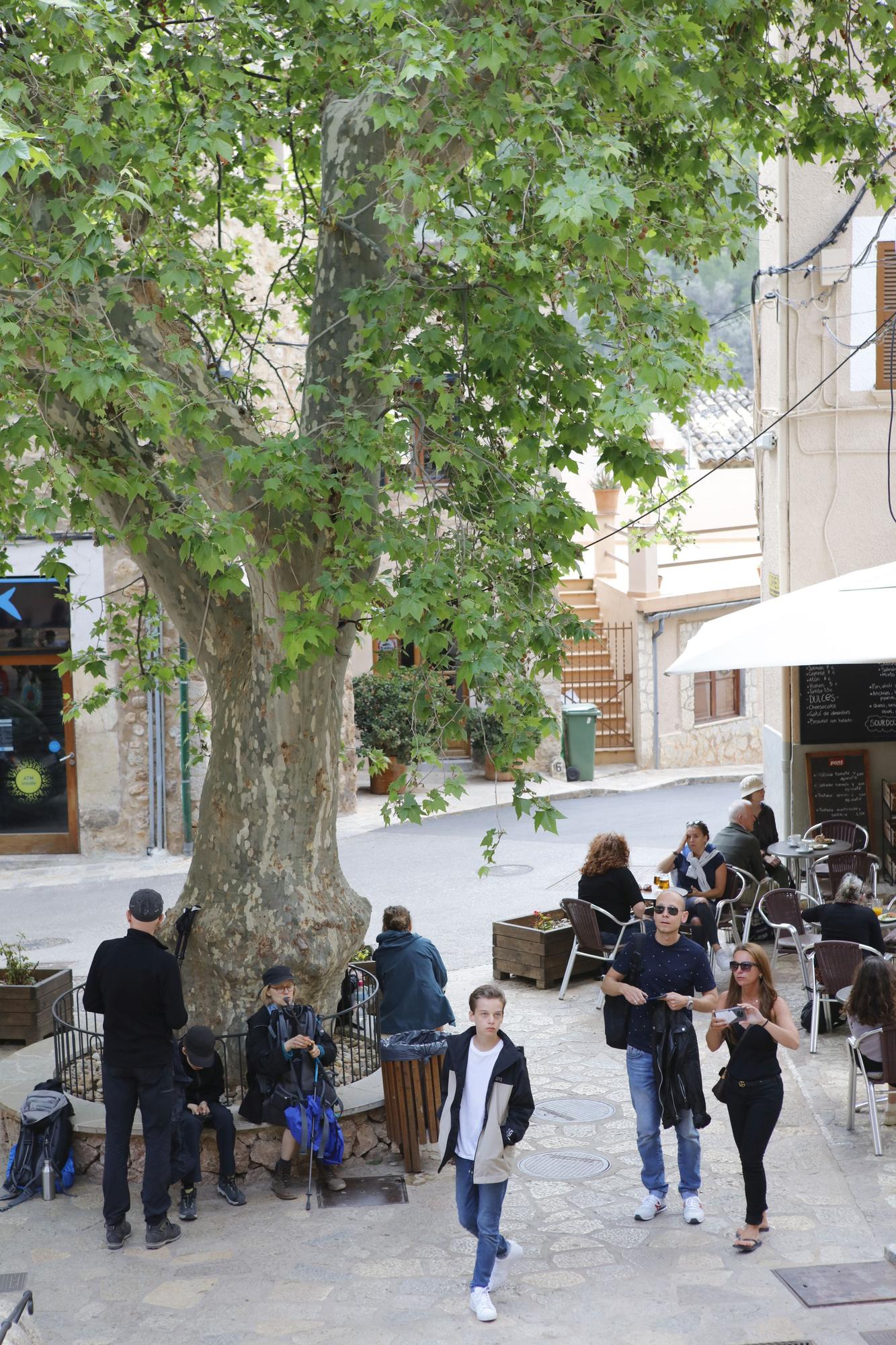 Fornalutx auf Mallorca: So sieht es derzeit im "schönsten Dorf" Spaniens aus