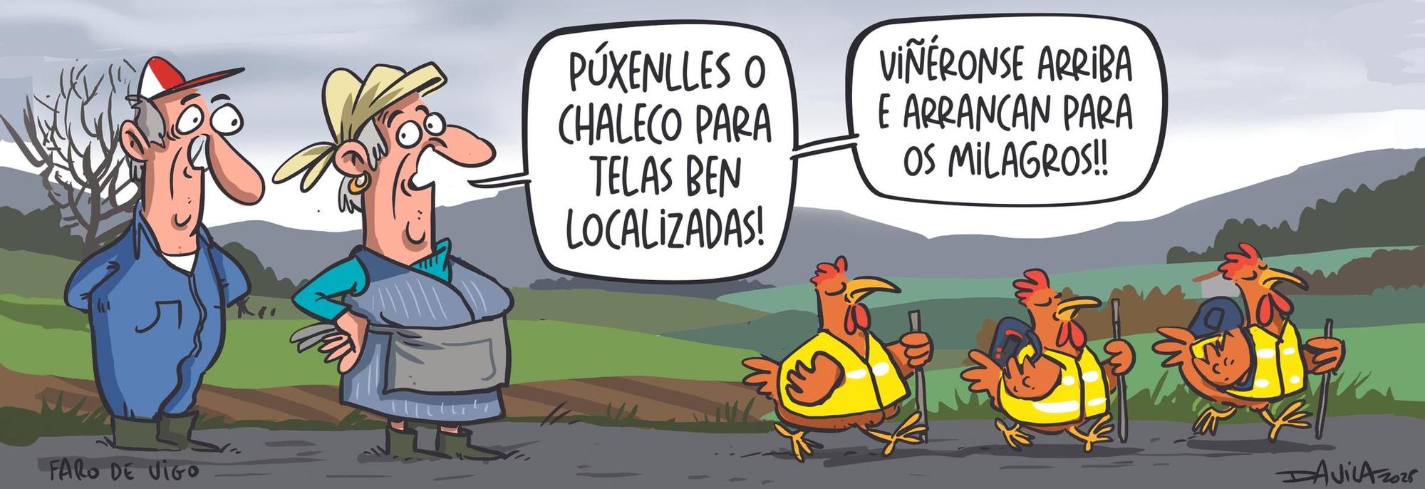 Davila 25/05/2025