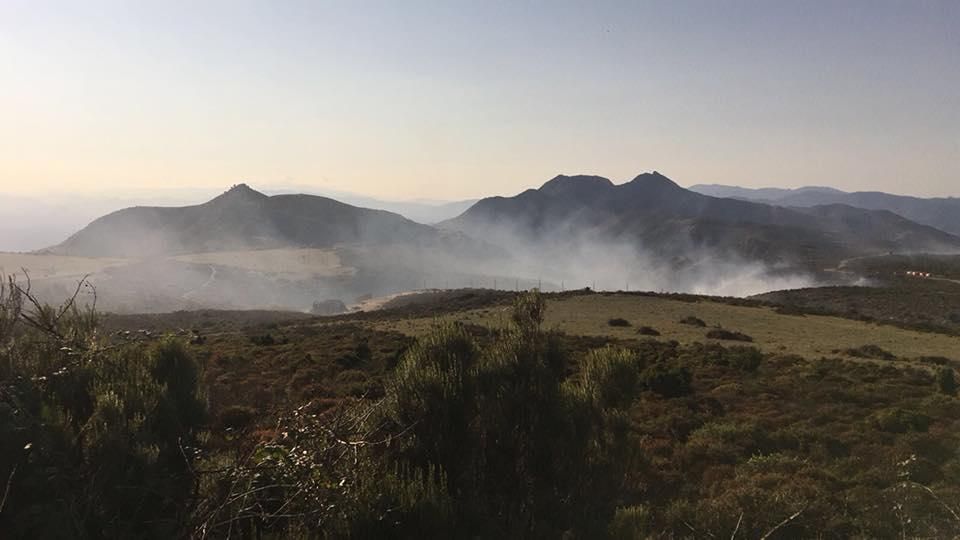 Foc al Coll del Pení a Roses.