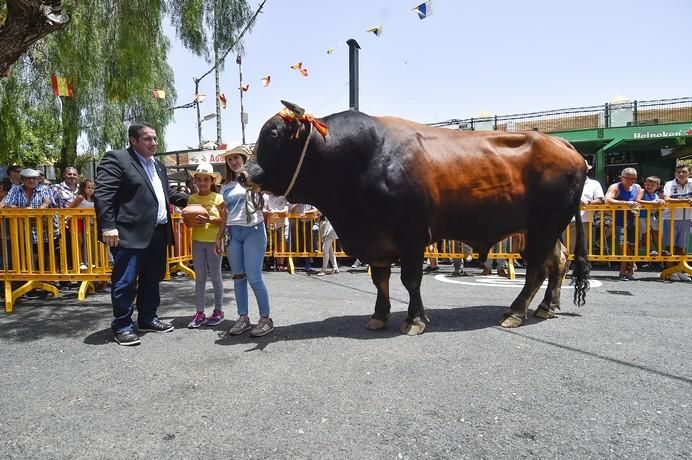 ENTREGA PREMIOS FERIA DE GANADO Y PROCESION ...