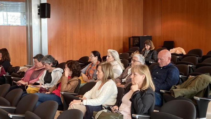 Familiares de Sa Residencia ayer en el pleno del Consell. | I.V.