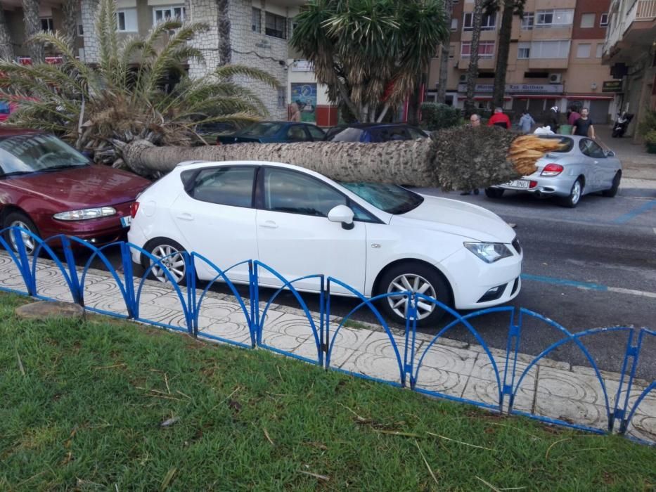 Temporal de viento y lluvia en Málaga