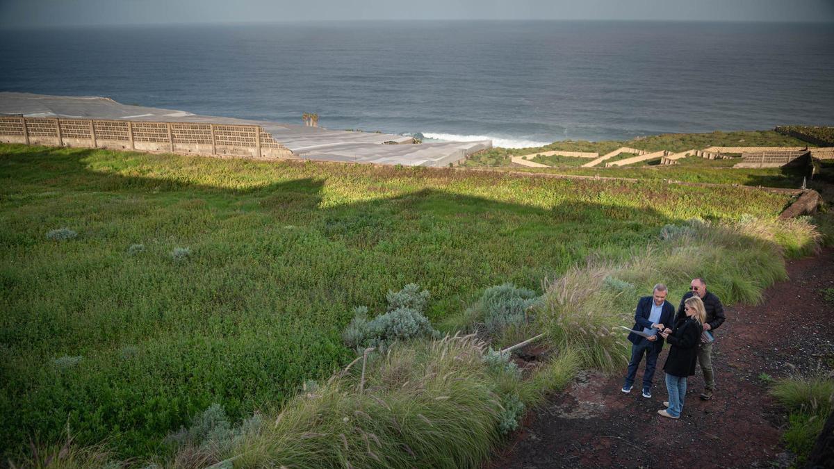 La Finca Presas del Campo, en la que está previsto construir la perrera