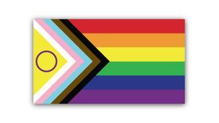 Multimedia | Este es el origen y la explicación de las diferentes banderas LGTBI+