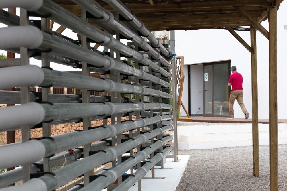 Abre sus puertas en Sant Rafel el primer jardín botánico y biotecnológico de las Pitiusas con vegetación de ambas islas