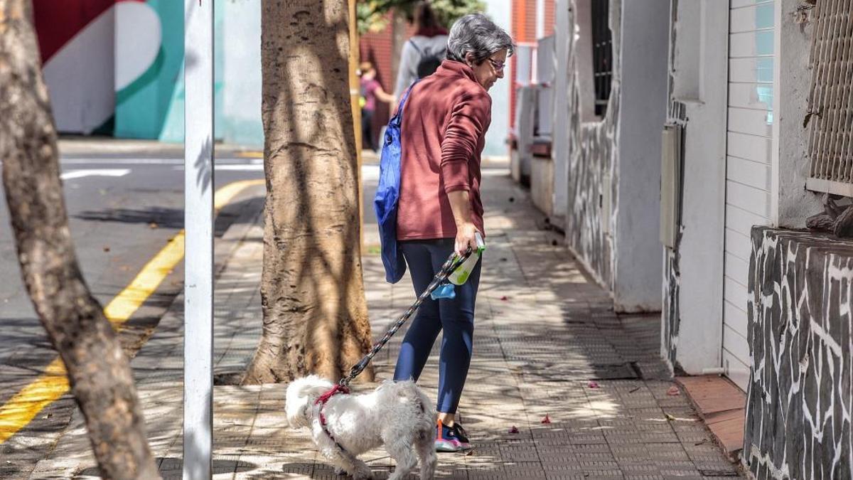 Cuidado si tienes mascota y la paseas por la calle, te pueden multar por este motivo