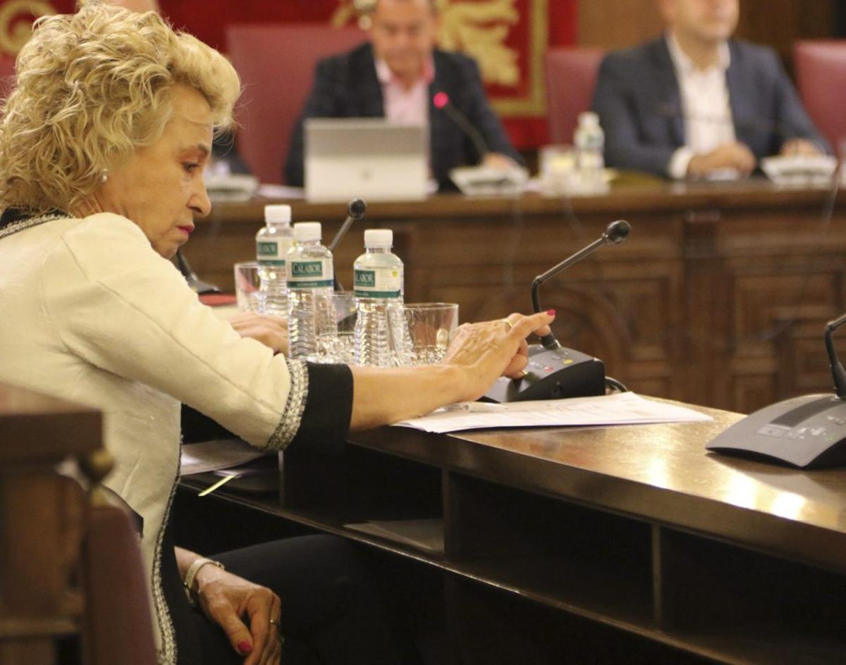 La también diputada provincial del PP durante un pleno de la institutición. | L.P.Z. (ARCHIVO)