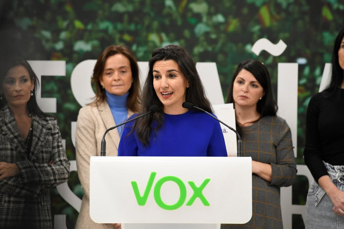 GRAF2510. MADRID, 20/11/2019.- La portavoz de Vox en el Parlamento madrileño, Rocío Monasterio, durante la rueda de prensa esta mañana en la sede madrileña de esta formación.- EFE/Víctor Lerena