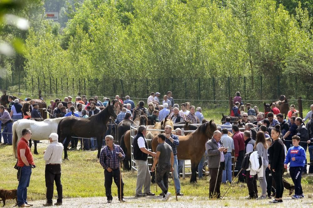 Feria de La Ascensión en Olloniego