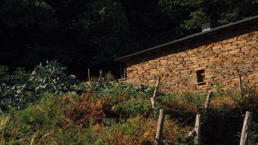 Vista del huerto de Sergio Cela, donde plantas patatas, acelgas y berzas, entre otras cosas.