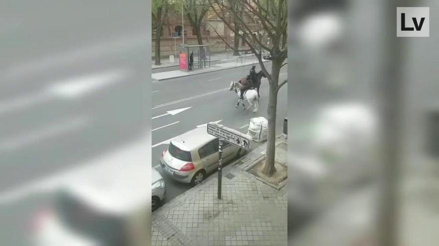 Persecución a caballo de un polícia a un ciclista por saltarse el confinamiento