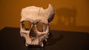 Un altre cap tallat engrandeix la llegenda ibera