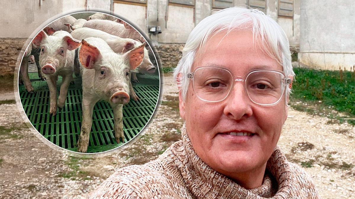 Mar París tiene una explotación de ganado porcino en Forcall.