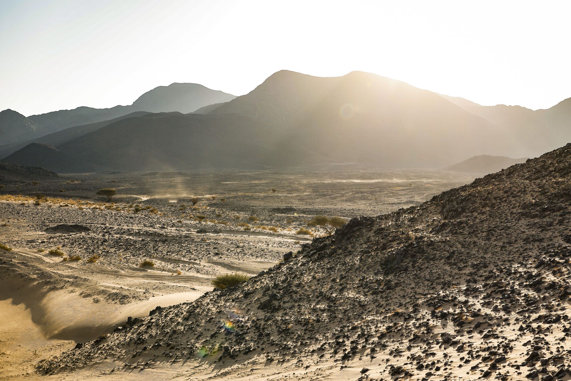 Etapa 9 del Rally Dakar 2026, en imágenes