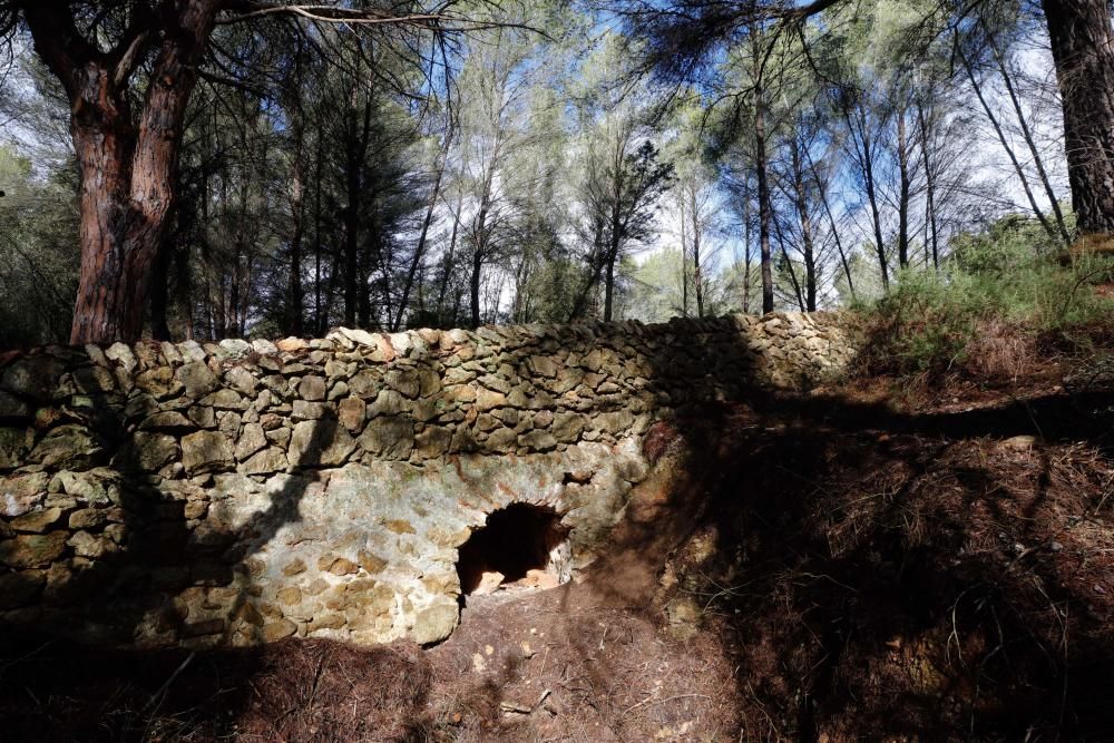 La fuente que alimentaba el canal de Fruitera y los huertos cercanos a Santa Gertrudis vuelve a estar a la vista