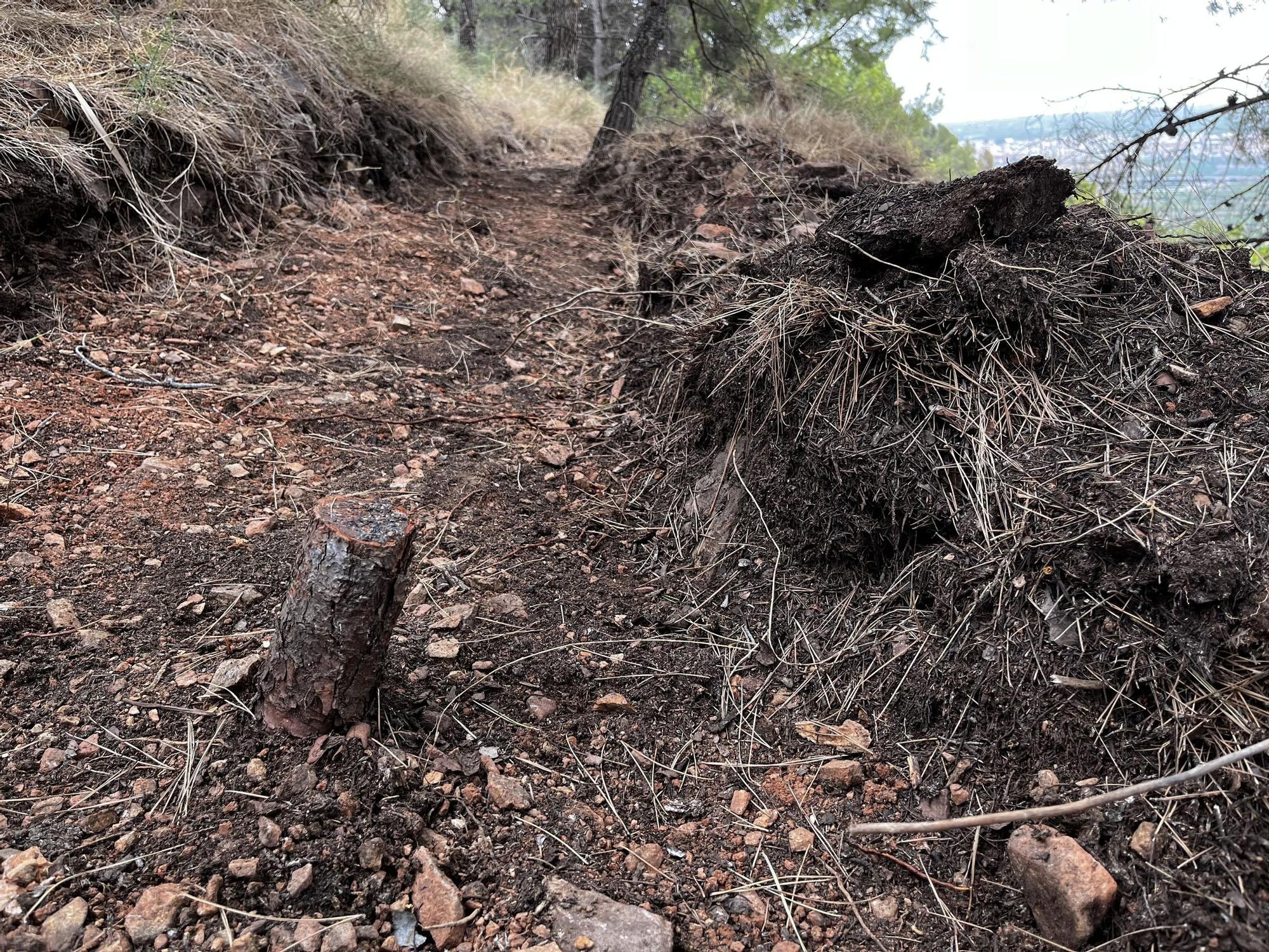 Las imágenes de la pista ilegal abierta en la Vilavella para practicar BTT