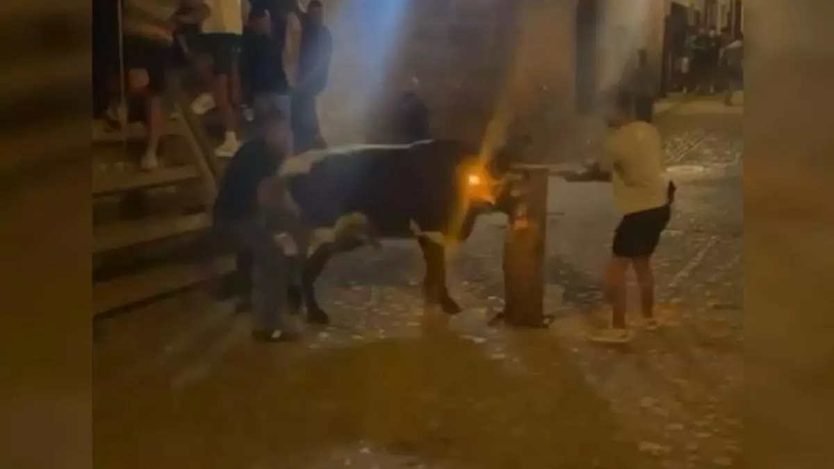 Balizas luminosas en lugar de fuego: el toro embolado que se ha hecho viral en un pueblo a cinco minutos de Castellón
