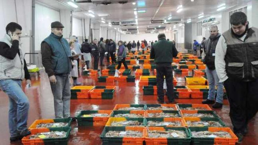 Subasta de pescado celebrada en la lonja de Marín.  // Gustavo Santos