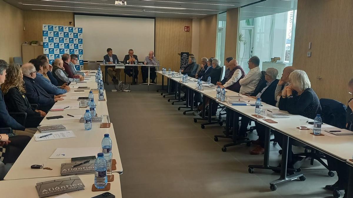 Una imagen de la junta directiva de Uepal celebrada este martes en Villena.
