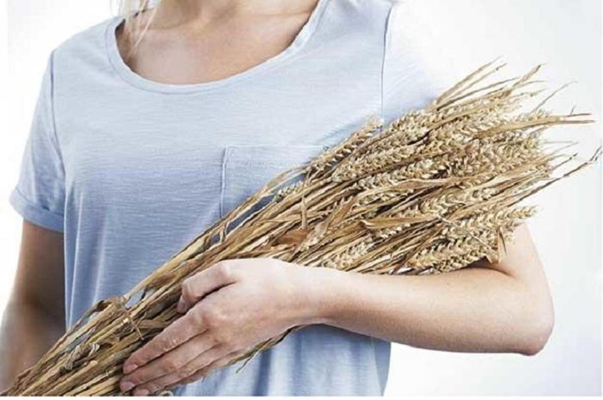 La enfermedad celiaca: bulos y mitos
