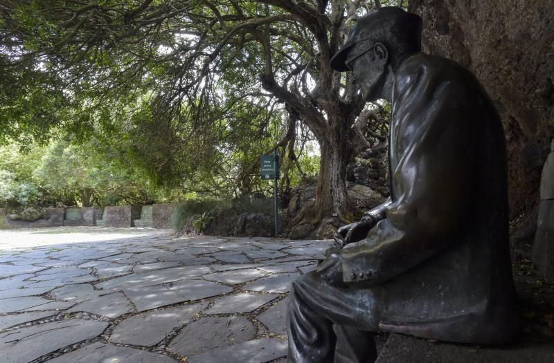 Accesibilidad en el Jardín Canario