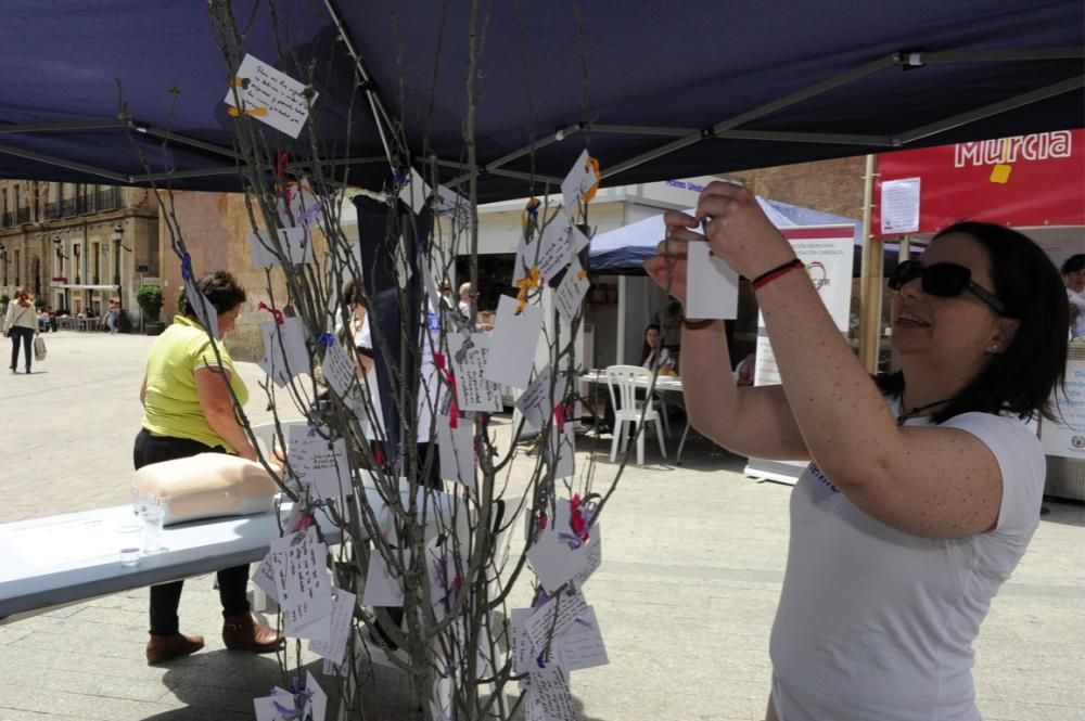 Las enfermeras celebran su día en Murcia