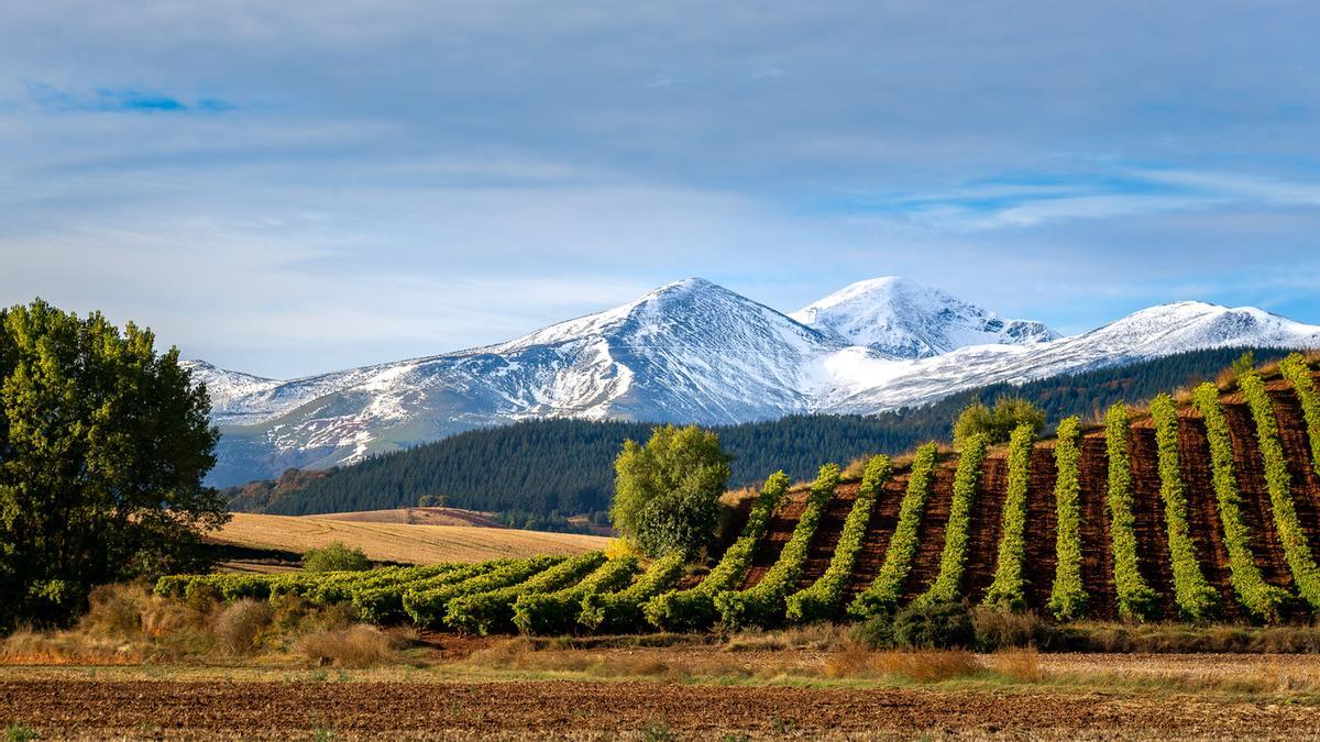 En La Rioja se elaboran los mejores vinos de España
