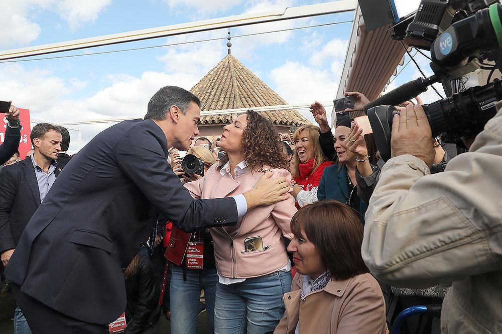 Pedro Sánchez en Córdoba