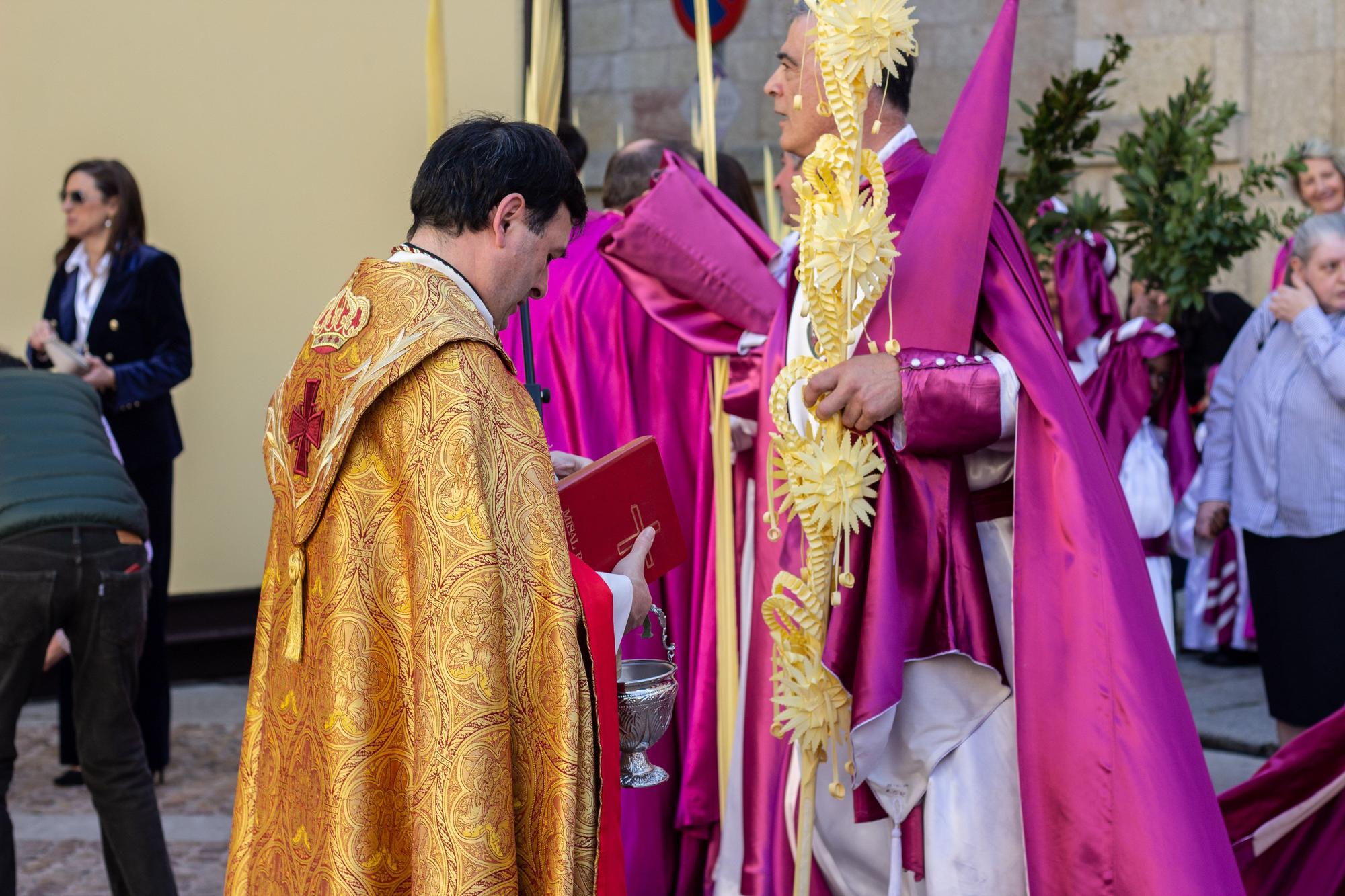 ZAMORA.DOMINGO DE RAMOS