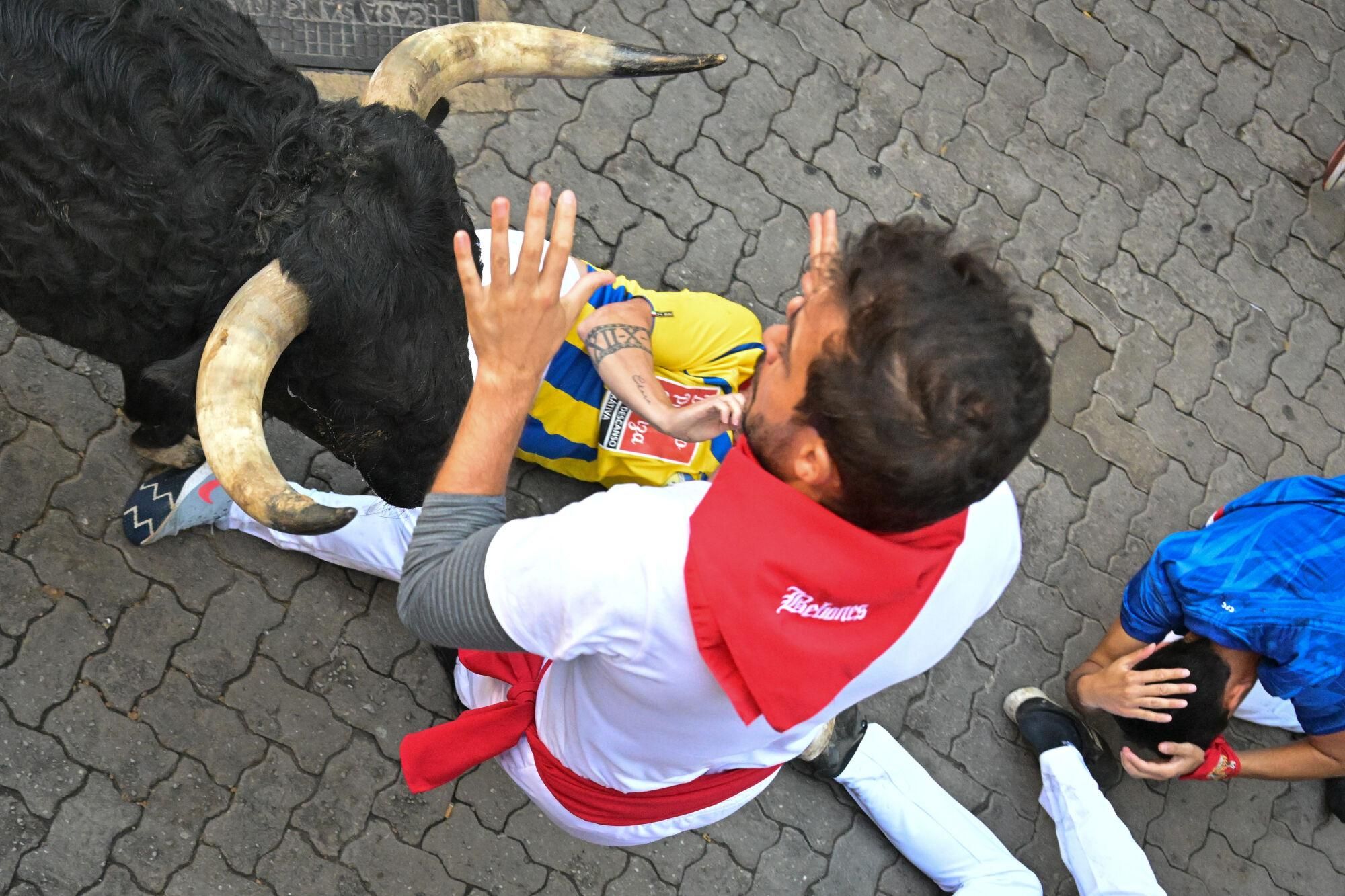 PAMPLONA, 13/07/2025.- Uno de los mozos ante uno de los toros de la ganadería gaditana de La Palmosilla s durante el séptimo encierro de los Sanfermines 2025 este domingo en Pamplona. EFE/Daniel Fernández