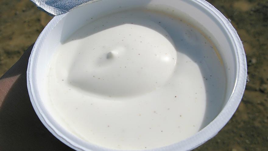 El Skyr es un tipo de queso rico en proteínas y sin grasas ni azúcares